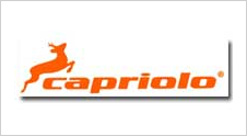 CAPRIOLO