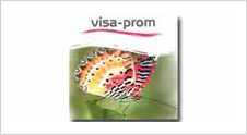 VISA-PROM