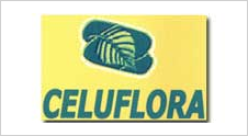 CELUFLORA DOO LOZNICA