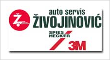 AUTO SERVIS ŽIVOJINOVIĆ