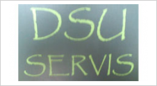 DIZEL SERVIS DSU 