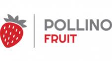 POLLINO FRUIT DOO HLADNJAČA BEOGRAD