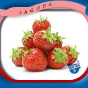 budim_grad_hladnjaca_srbija_jagoda