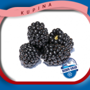 budim_grad_hladnjaca_srbija_kupina